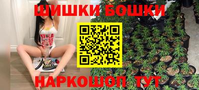 индика Будённовск